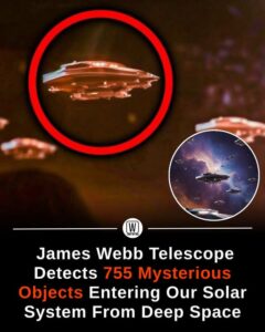 Many conspiracy theorists have taken the initiative to find life on Mars